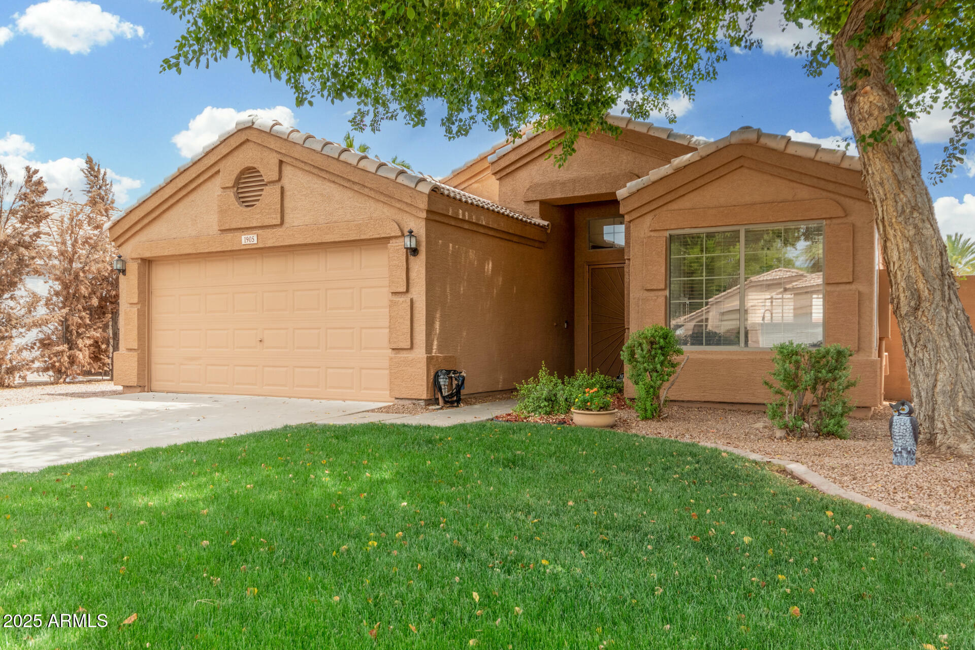 1905 E Palomino Drive  Gilbert AZ 85296 photo
