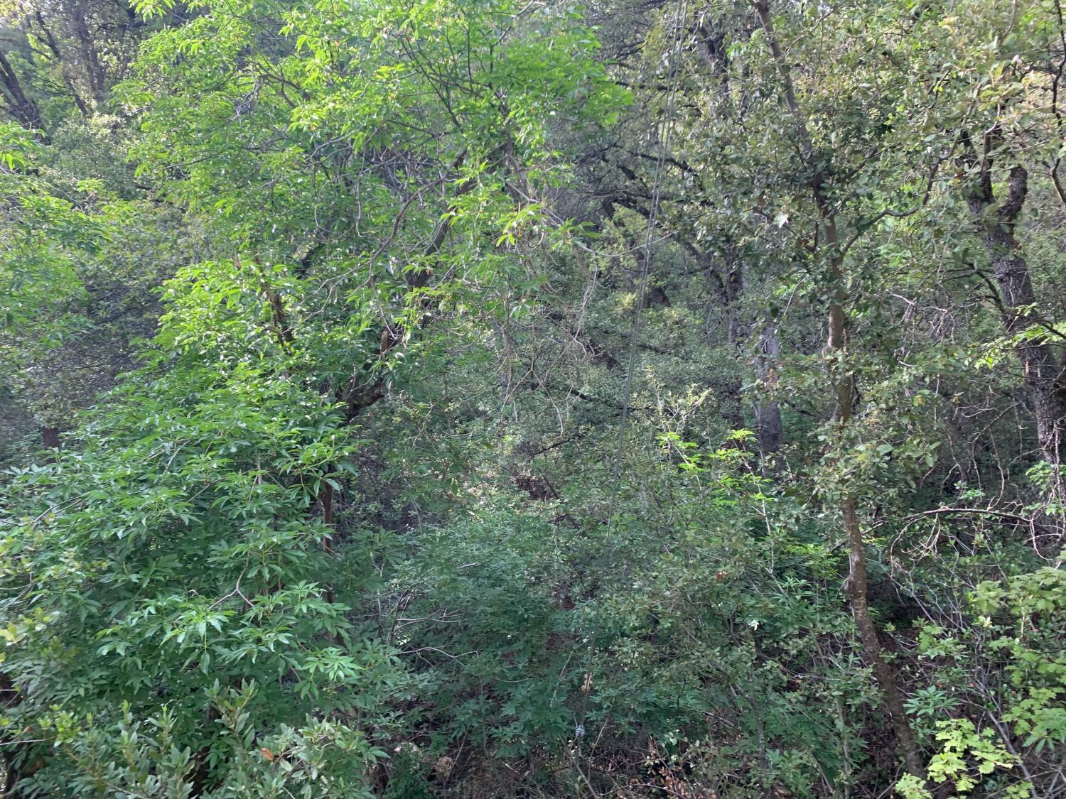 1779 Pennsylvania Gulch Road  Murphys CA 95247 photo