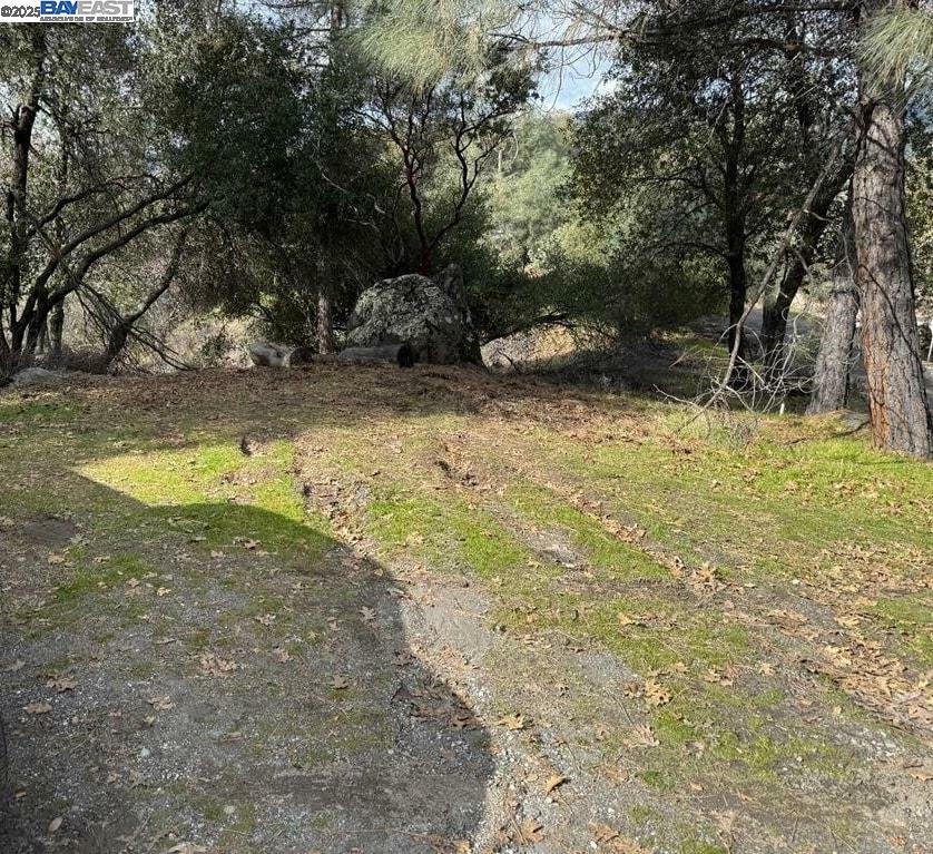 21201 Crystal Falls Dr  Sonora CA 95370 photo