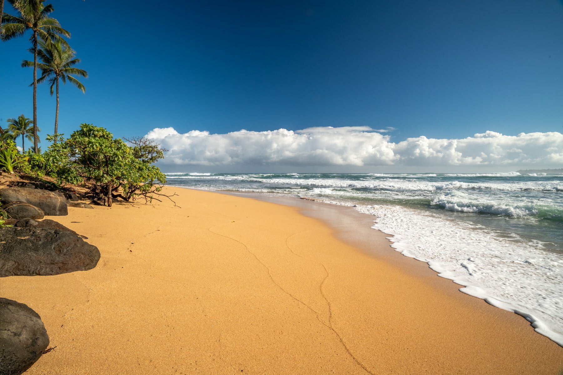 Property Photo: 5-7084 Kuhio Hwy HI 96714