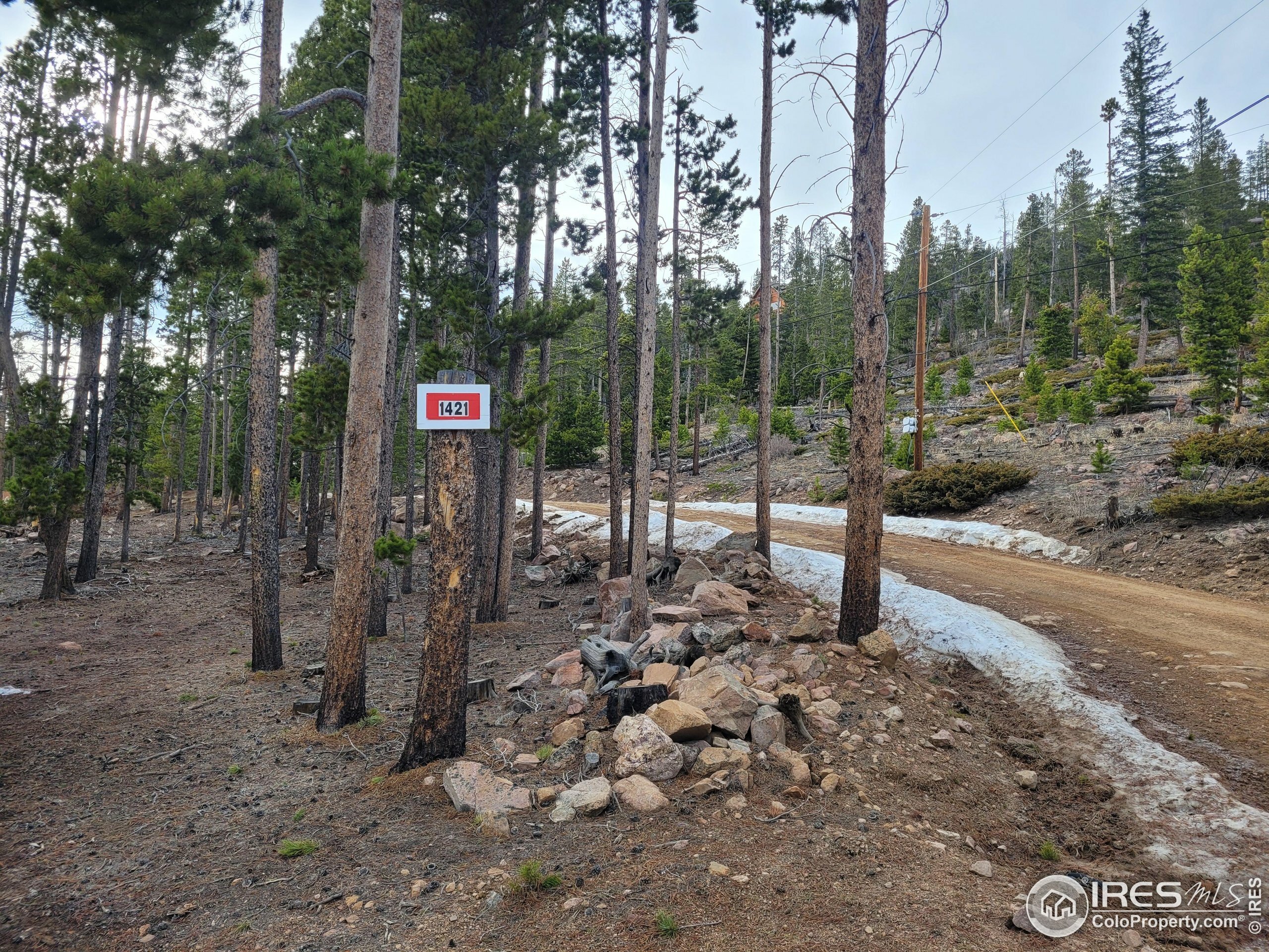 Property Photo: 1421 Jicarilla Trl CO 80545