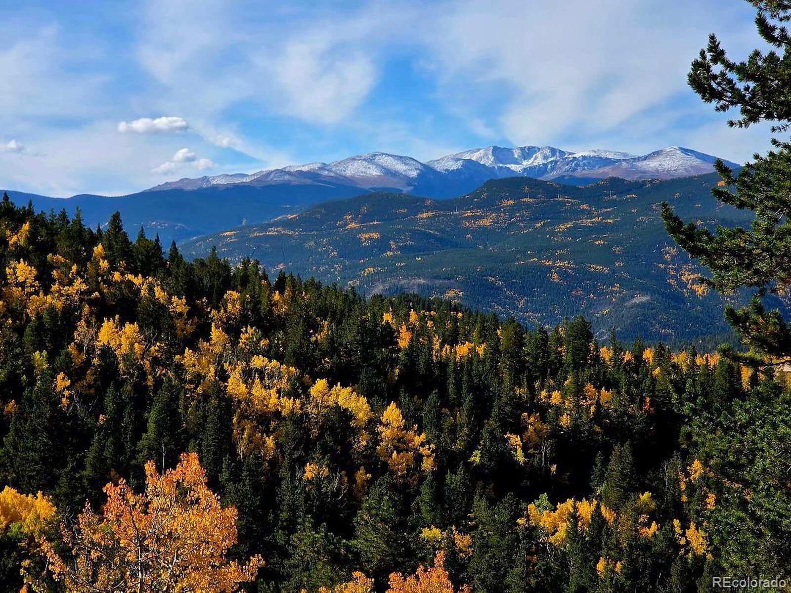Property Photo:  0 Bald Mountain And York Gulch Rds  CO 80452 