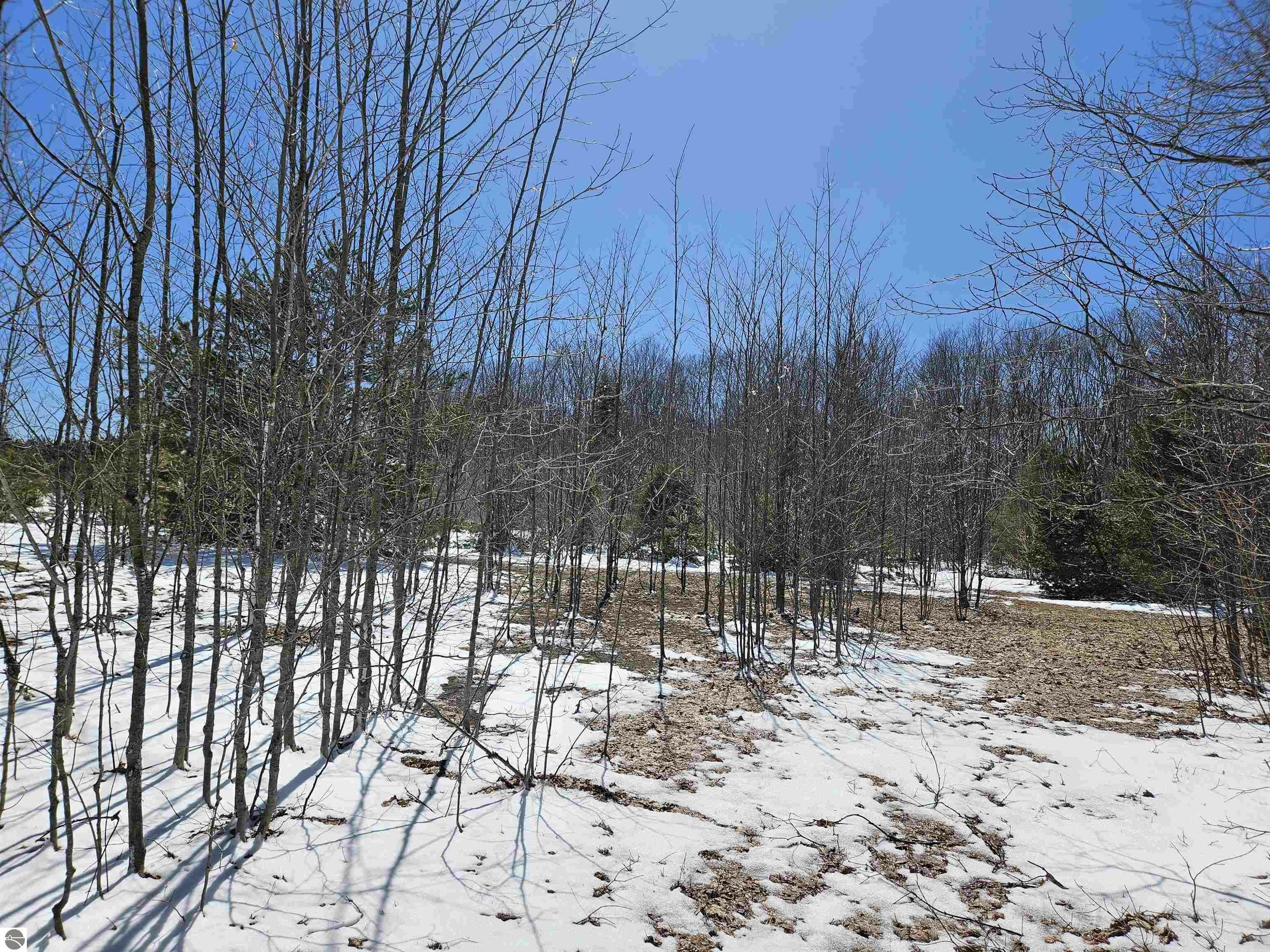 Property Photo: 0000 V/L "C" Grass Lake Road MI 49646
