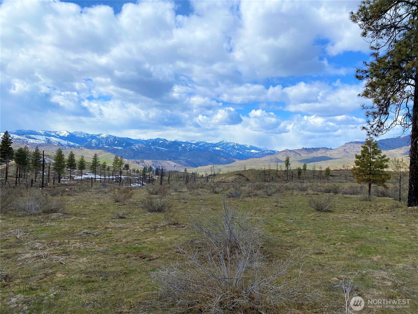 Property Photo: 817 Bill Shaw Road WA 98834
