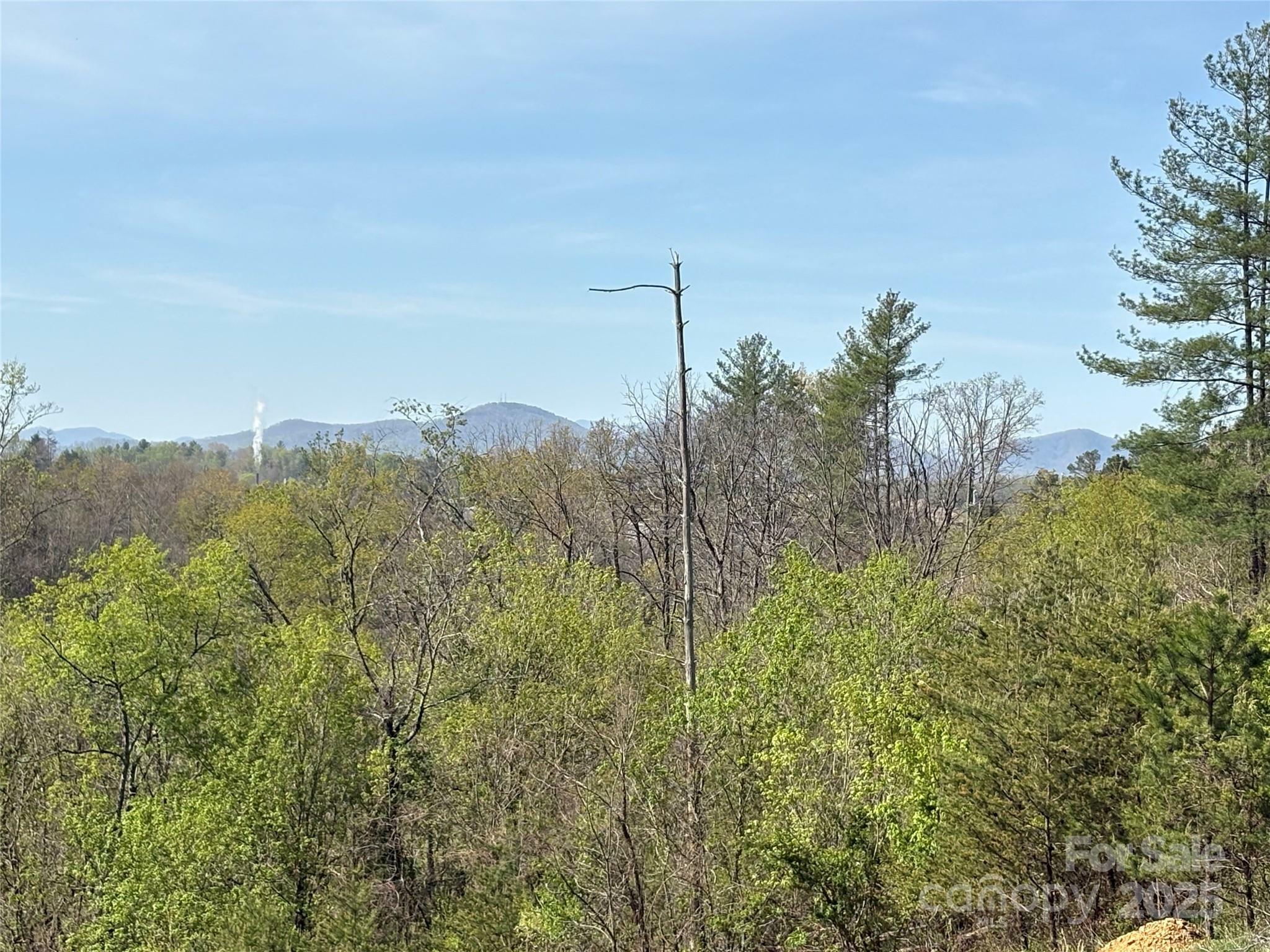 Tbd Big Rocky Top Drive  Weaverville NC 28787 photo