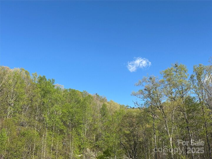 Property Photo: V/L Country Acres Drive NC 28762