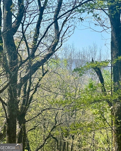 Property Photo: 450 Wild Turkey Bluff GA 30534