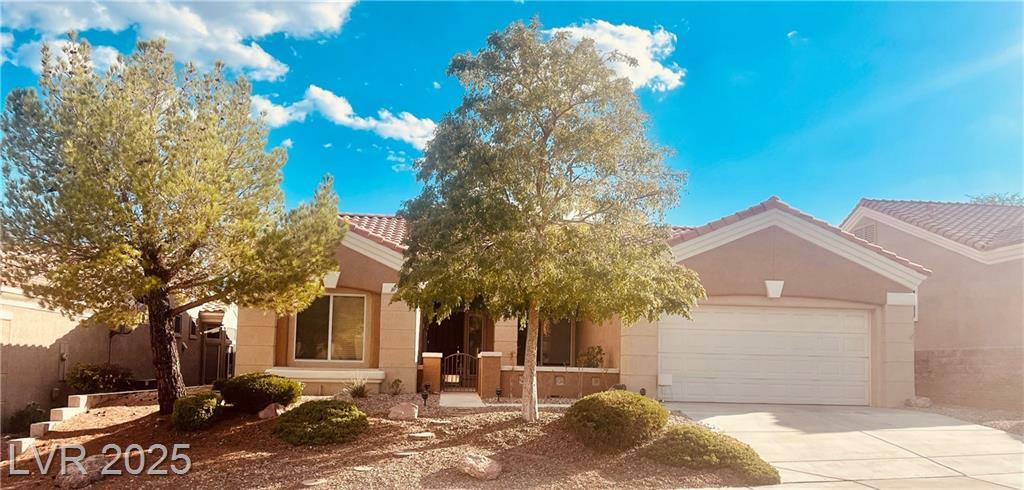 10305 Sea Palms Avenue  Las Vegas NV 89134 photo