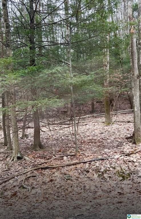 Property Photo: 153 Pine Tree Drive PA 18326