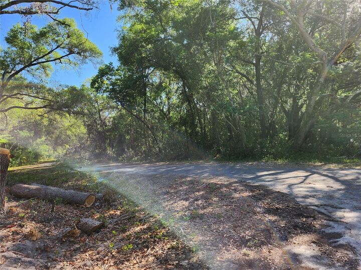 Property Photo: Tbd Guava Terr Loop FL 32179