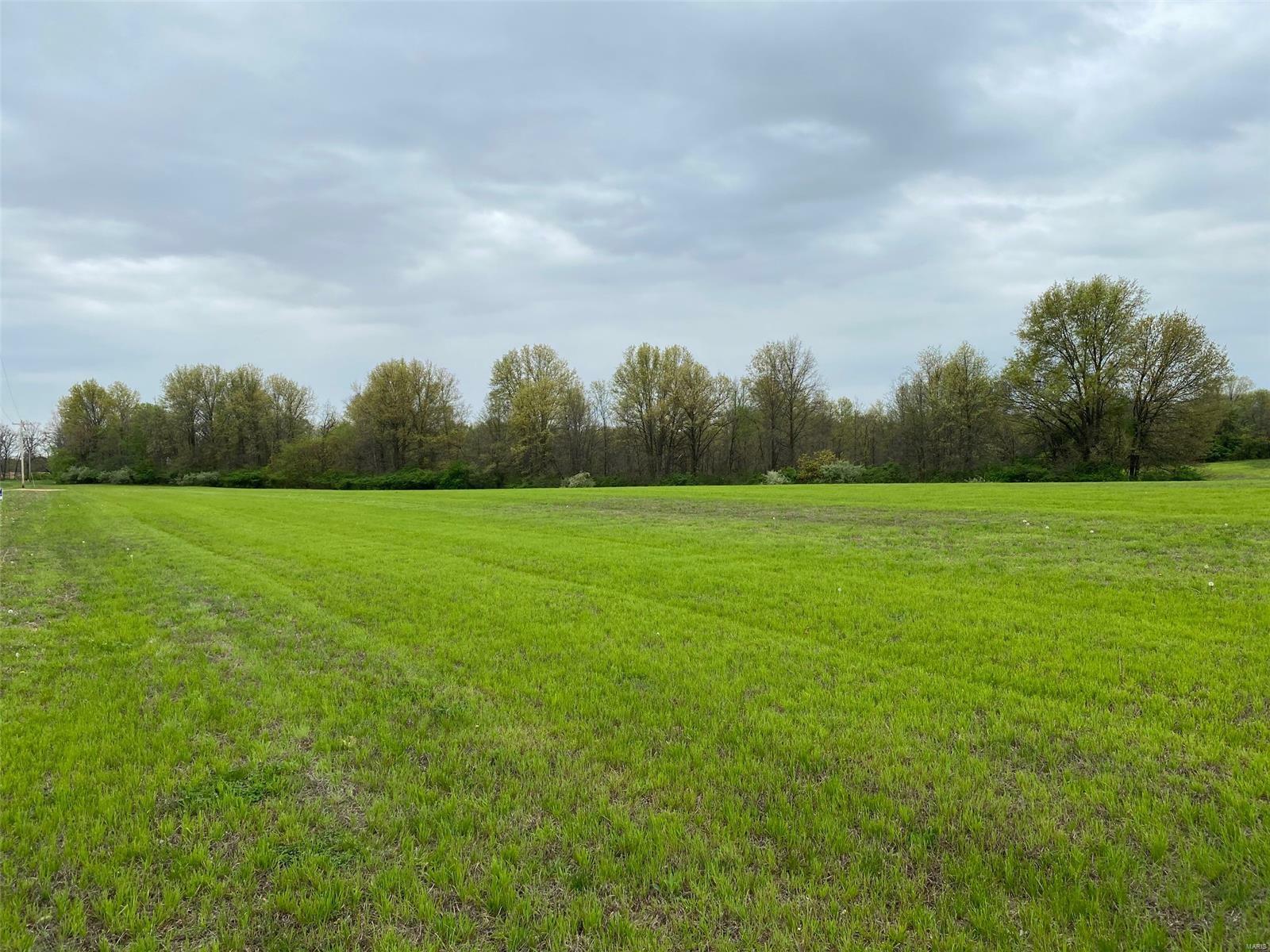 706 Highway Y  Winfield MO 63389 photo