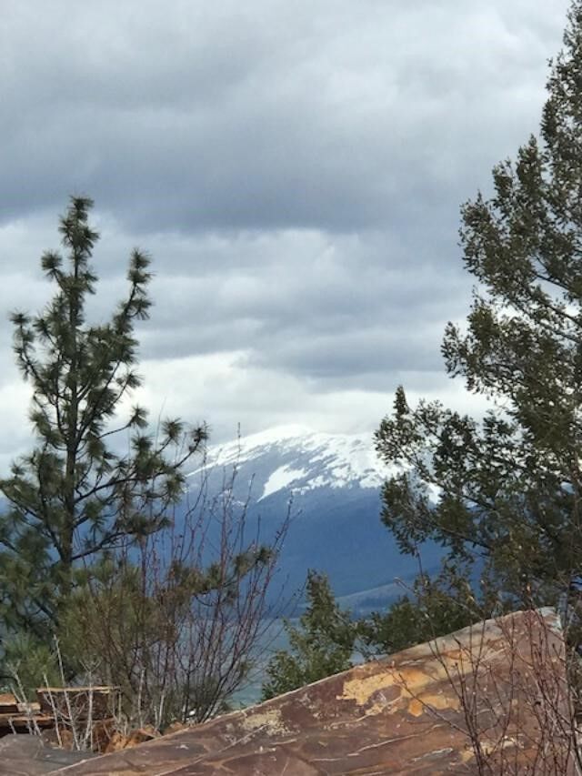 Property Photo:  Nkn West Fork Combest Creek Road  MT 59859 