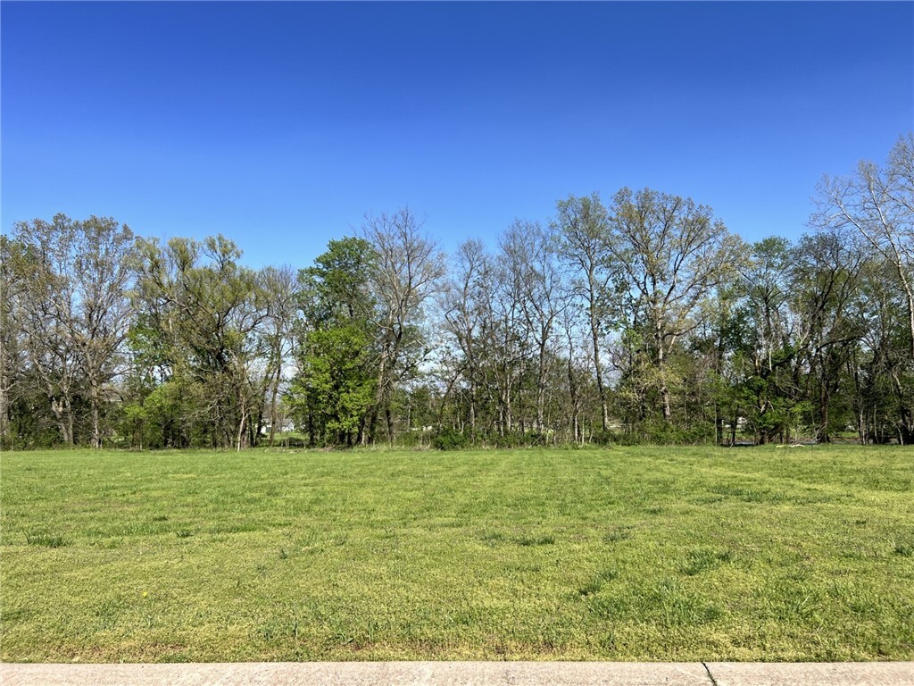 Property Photo: Lot 3 & 3A Beau Chalet Drive AR 72713