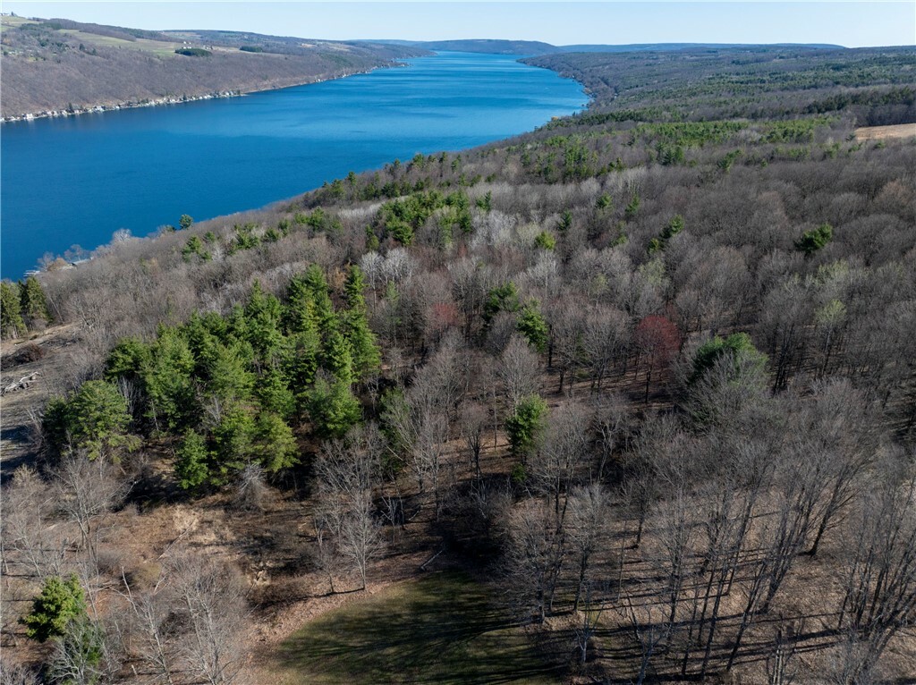 Property Photo: 0 County Route 87 Road NY 14840