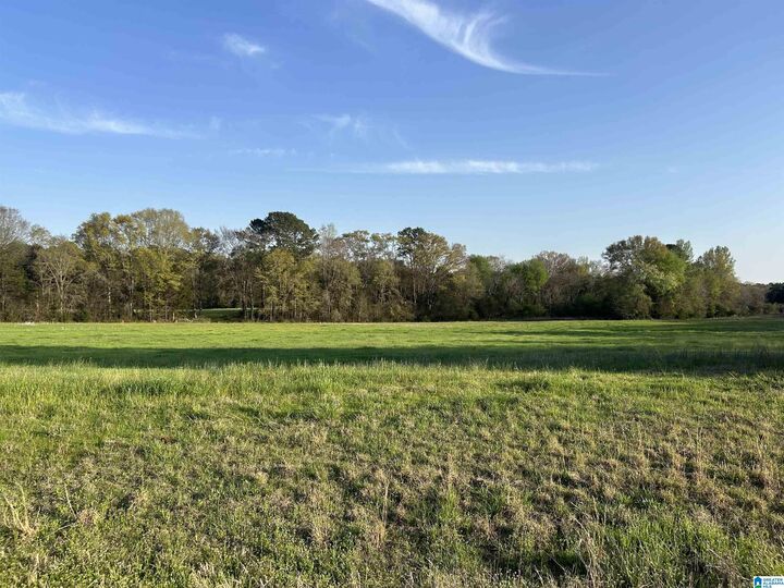 00 Speedway Boulevard 00  Lincoln AL 35096 photo