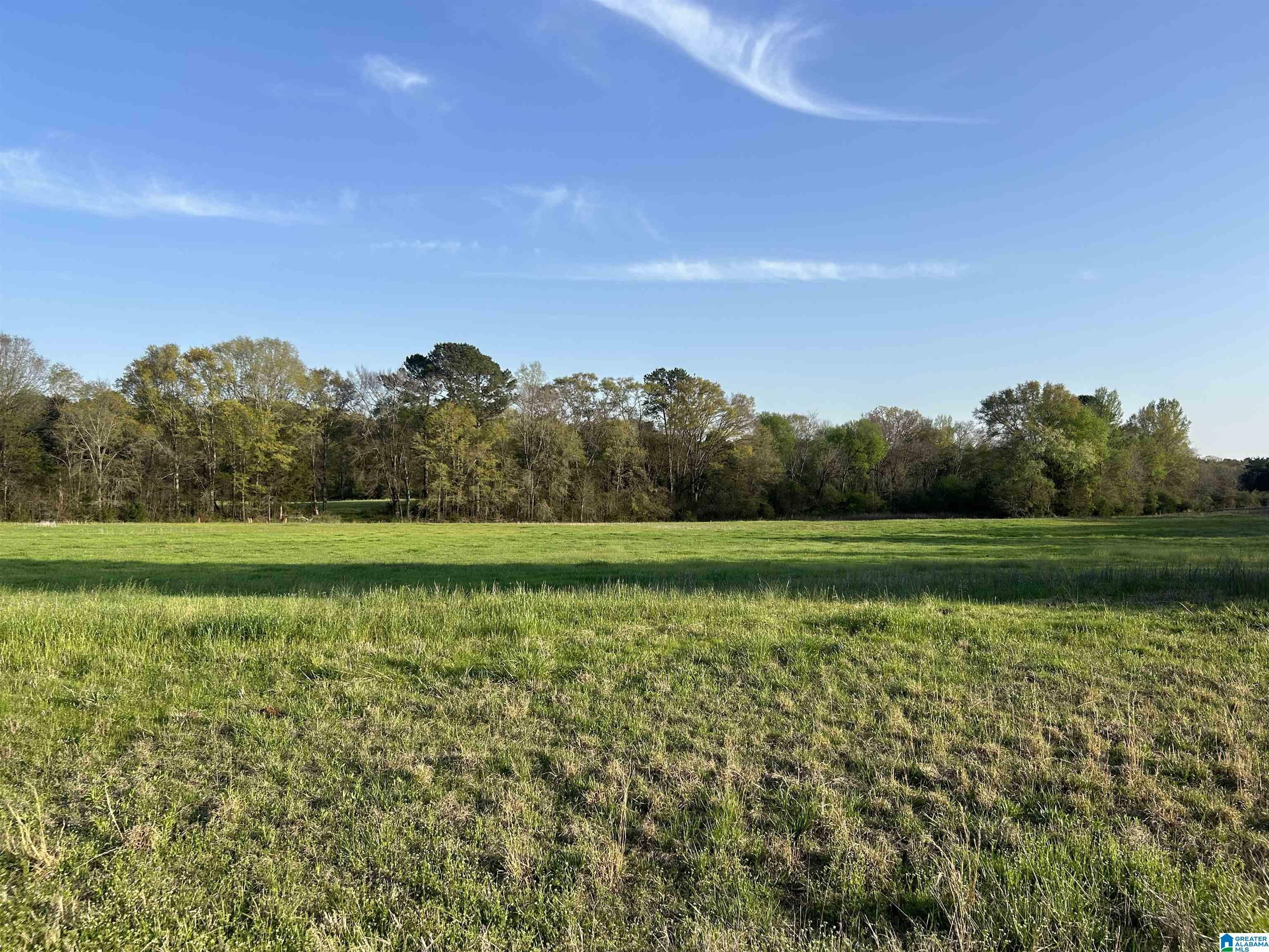 Property Photo: 00 Speedway Boulevard 00 AL 35096