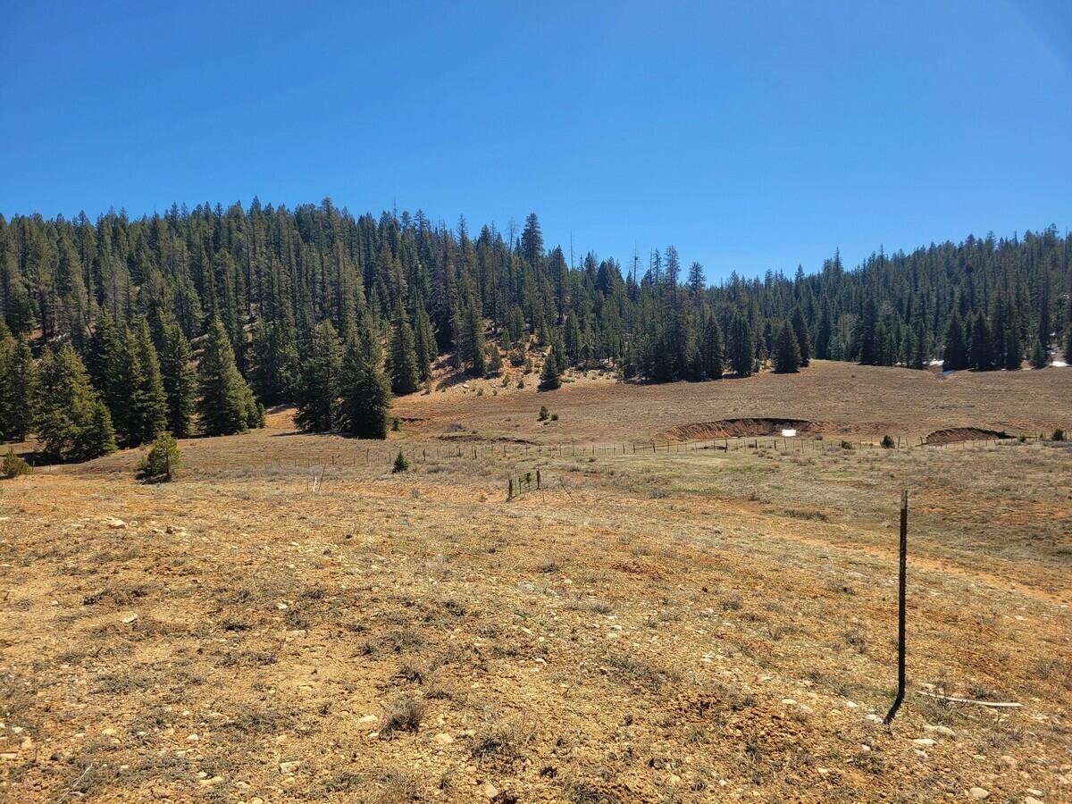 Property Photo:  520 N Grassy Trail  UT 84762