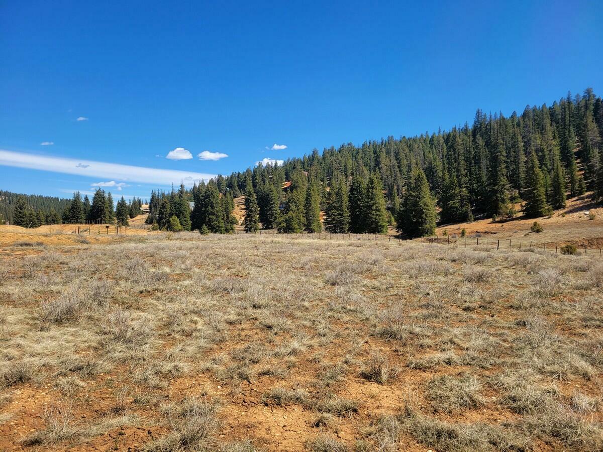 Property Photo:  520 N Grassy Trail  UT 84762 