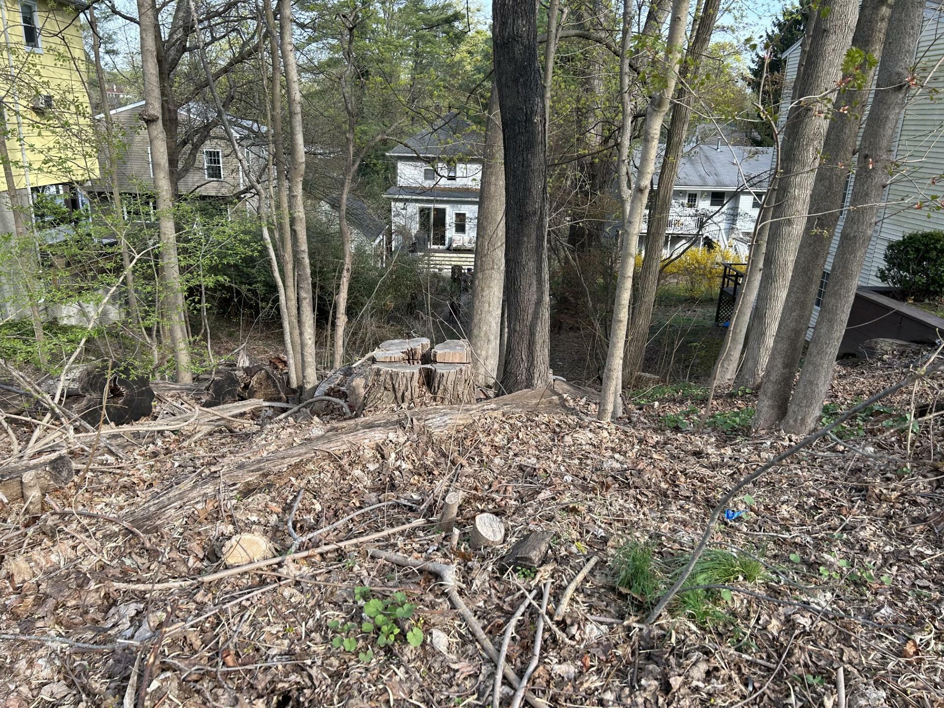85 Sarles Lane  Pleasantville NY 10570 photo