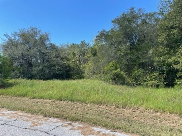 Property Photo: Kissimmee Way FL 34759