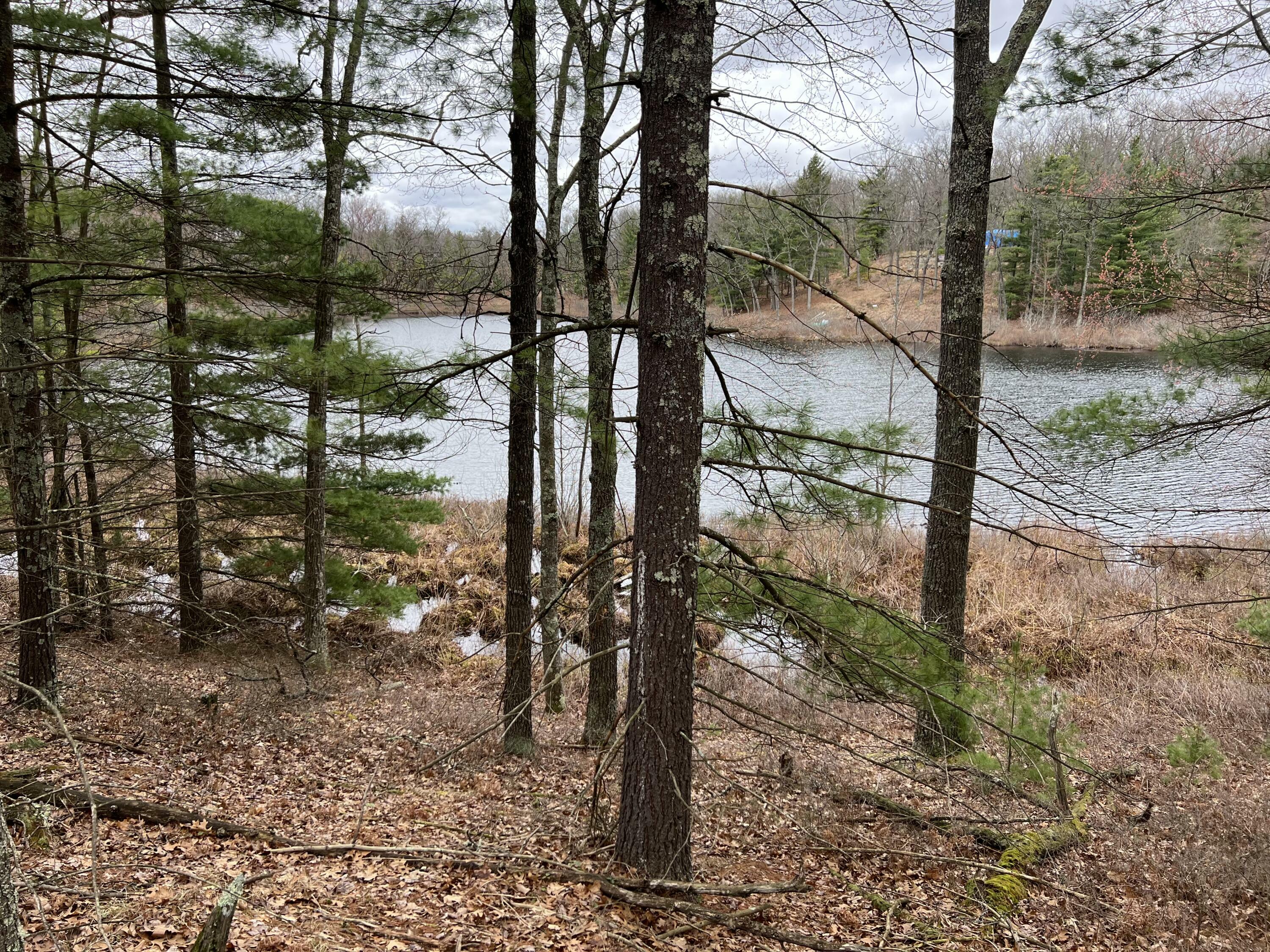 Property Photo: Vl Perch Lake Drive MI 49309