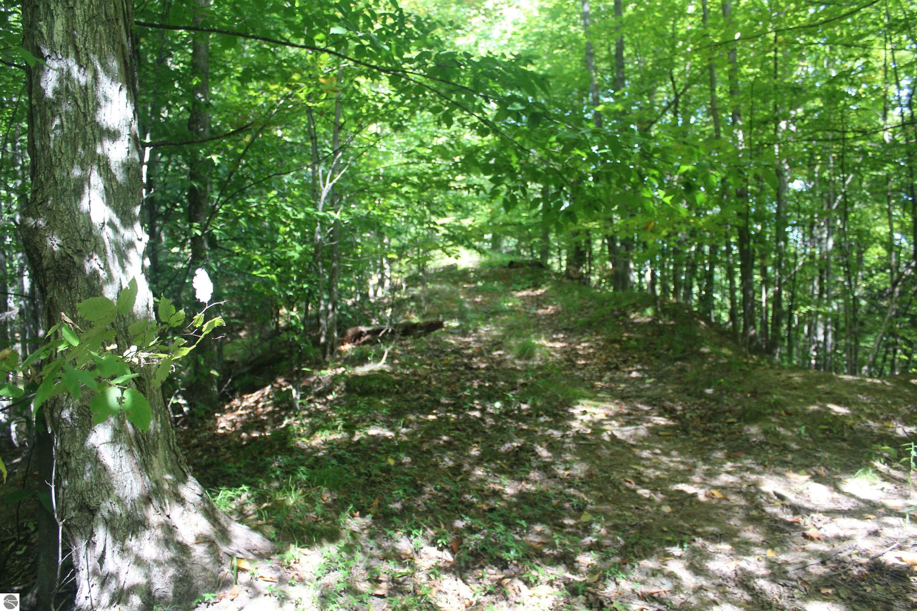 Property Photo: 000 Harbor Beach Drive MI 49676