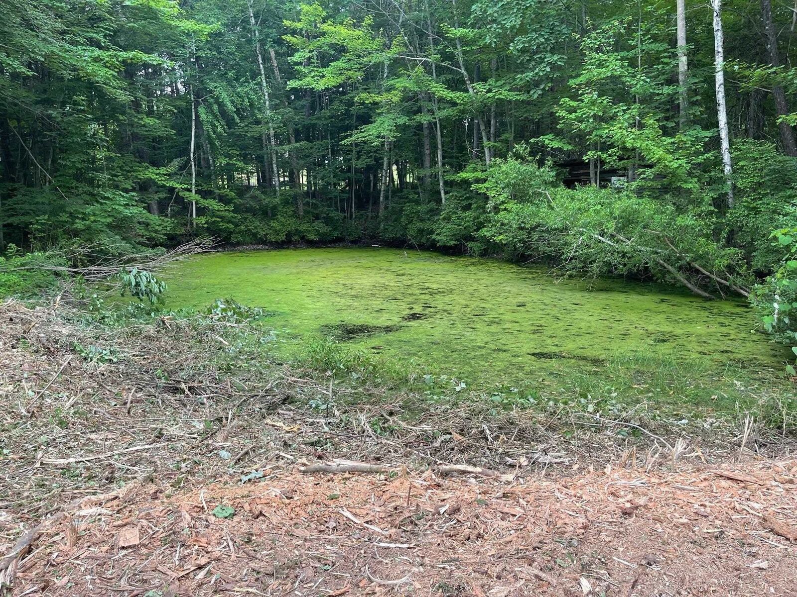 Property Photo: 67 Christian Hill Road NH 03031