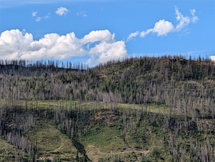 Property Photo: Partsw1/4 Squilax-Anglemont Road BC V0E 1M6