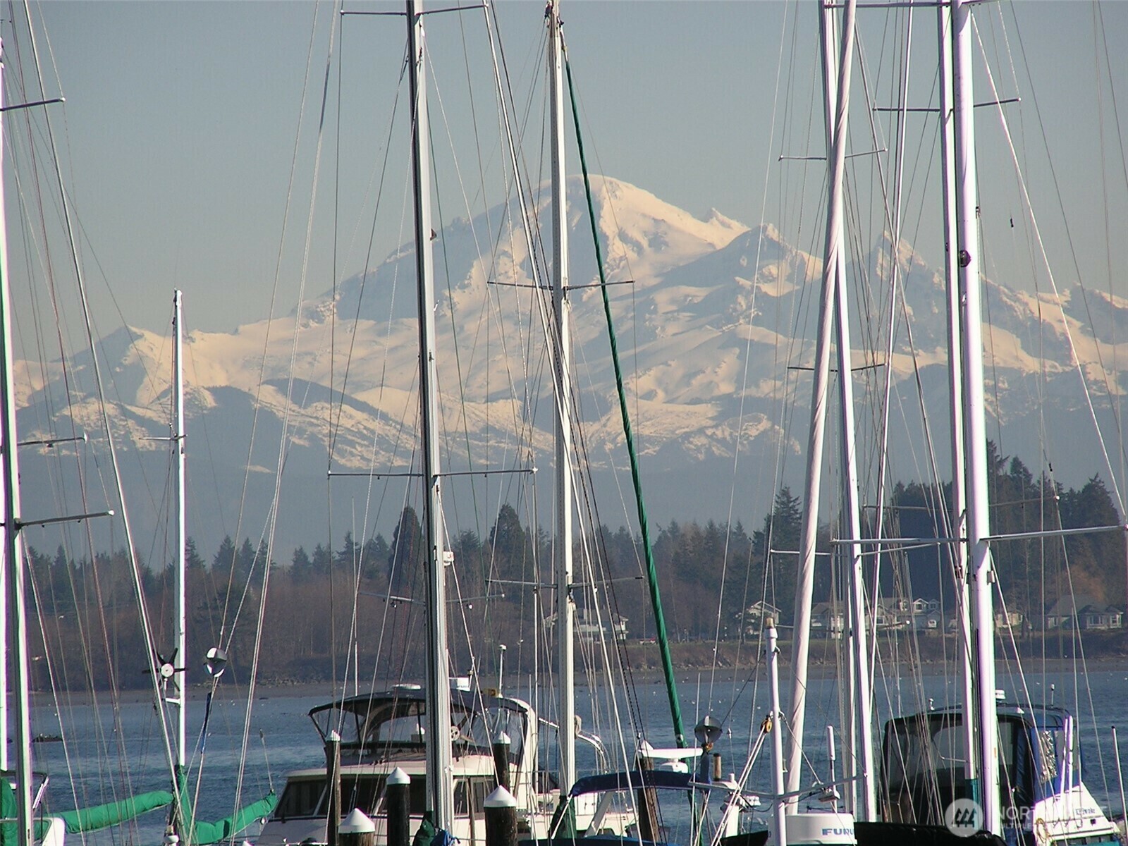 9540  Semiahmoo Parkway D-52  Blaine WA 98230 photo