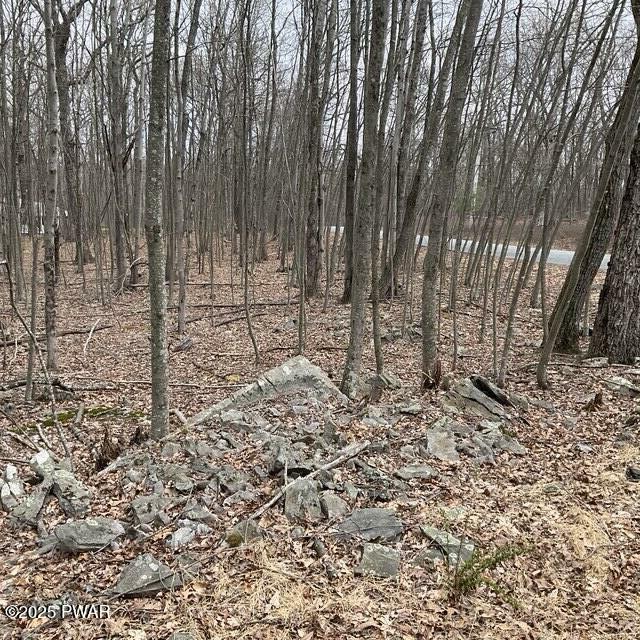 Property Photo:  147 Ledgeway Dr Drive  PA 18328 