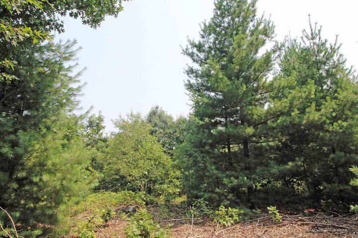 Property Photo: Lot19 Timber Trail WI 53588