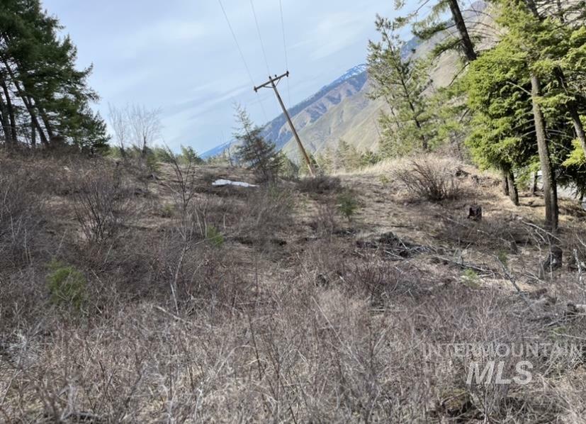 Property Photo:  Tbd State Highway 129  WA 99401 