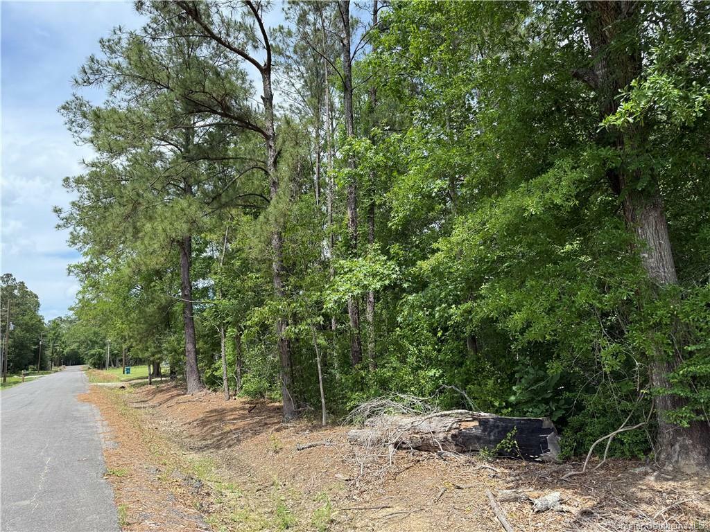 Property Photo:  0 Lisa Drive  LA 70668 