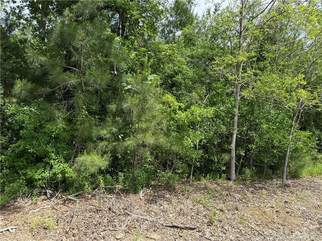 Property Photo: 0 Magnolia Street LA 70668