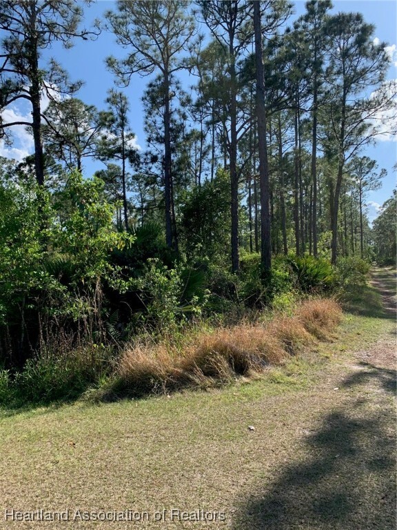 Property Photo: 1017 Dearing Street FL 33852