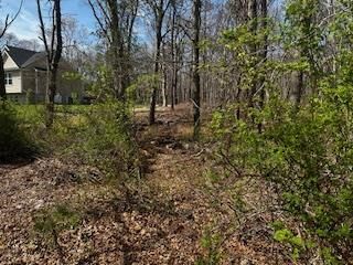 Property Photo:  Vl Lambert Avenue  NY 11950 