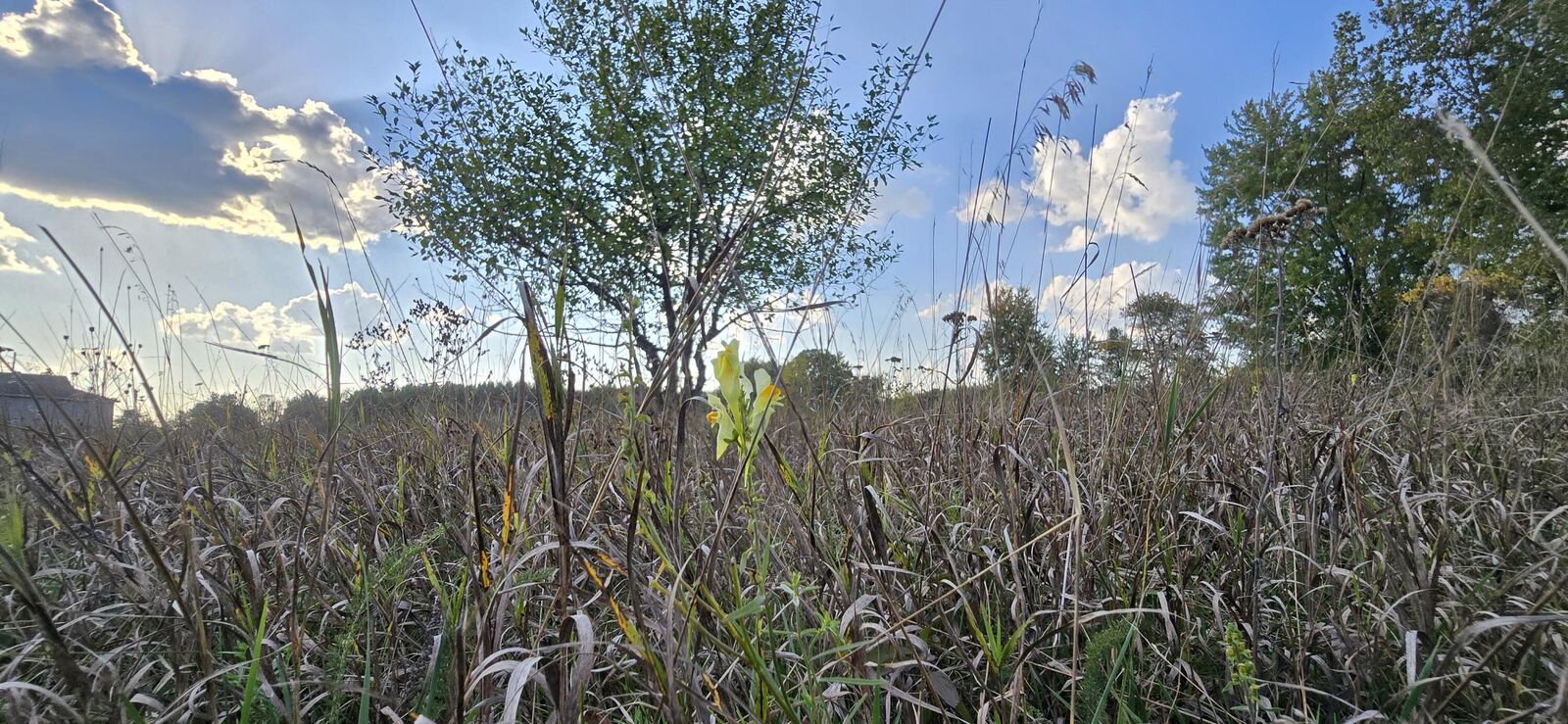 Property Photo: 8692 E Baseline Road MI 48858
