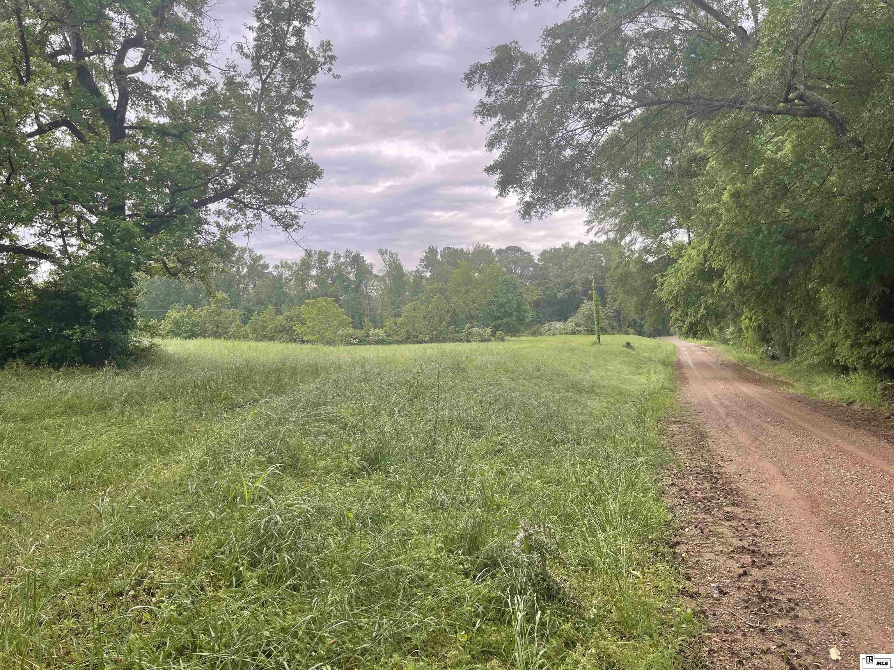 Property Photo: 000 Leland Pardue Road LA 71226