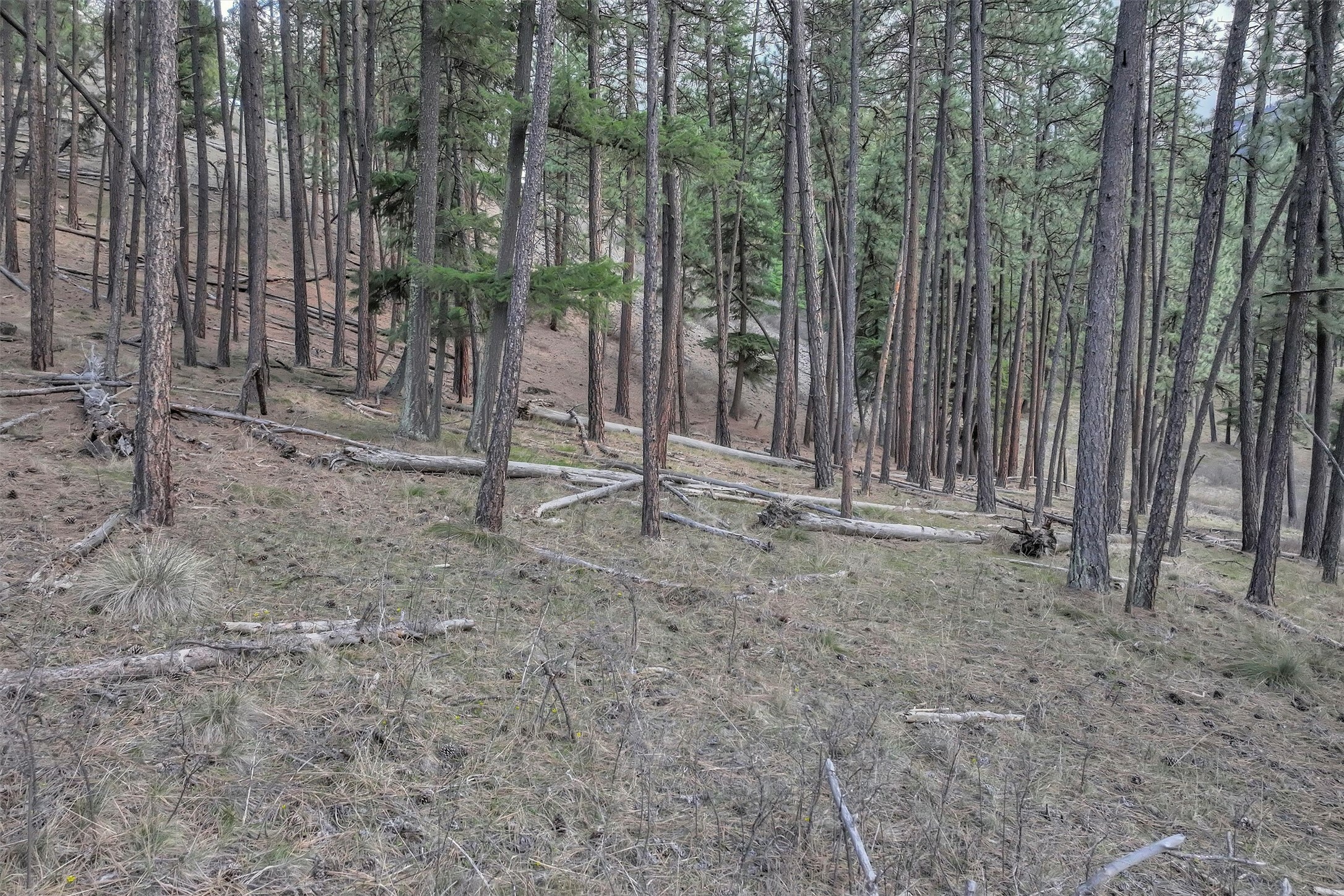Property Photo: Nhn Profile Rock MT 59820