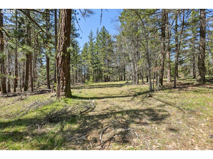 Property Photo:  Nka Tyler Rd  WA 98620 