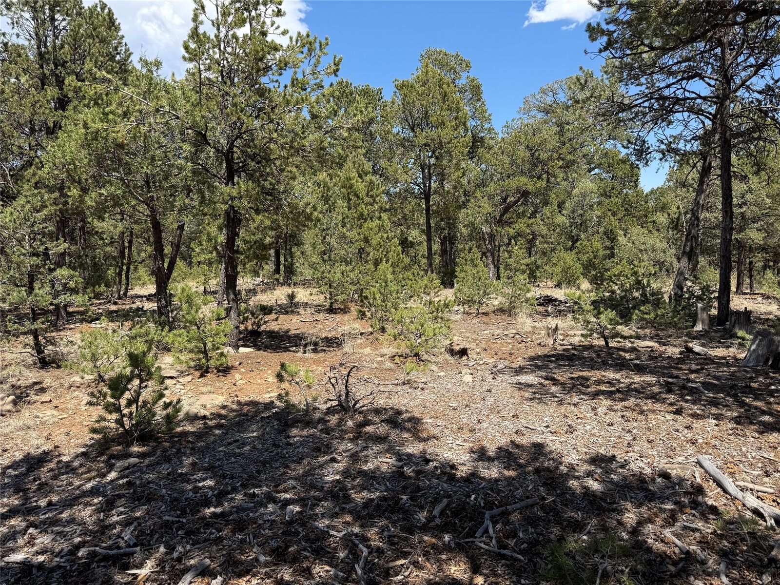 Property Photo: Lot 20 Dancing Hawk Drive NM 87552