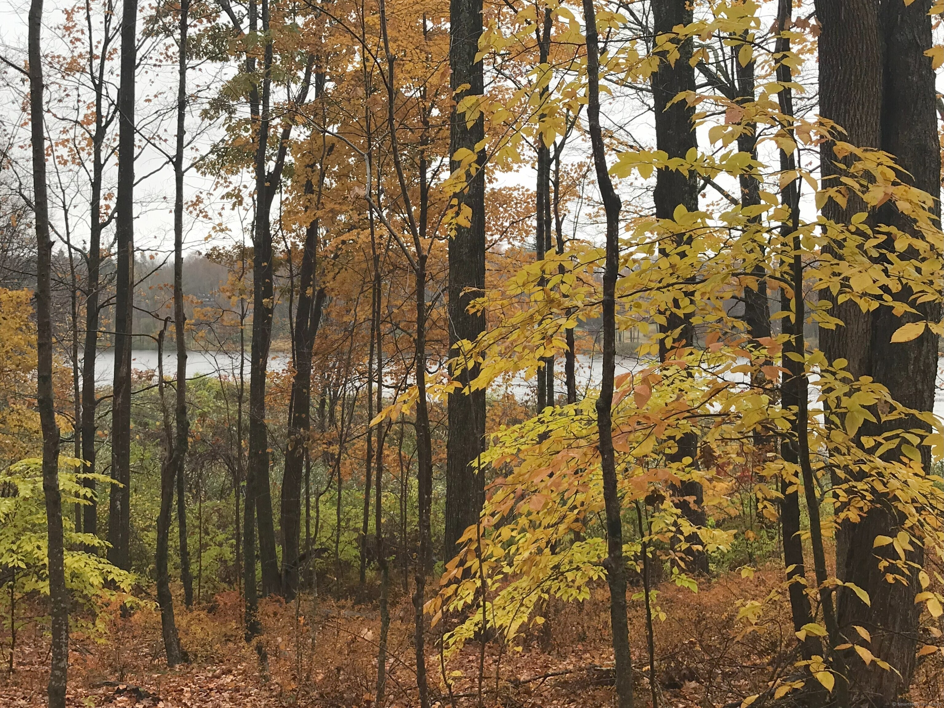 Property Photo:  61 Falcon Ridge Road  CT 06790 