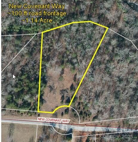 Property Photo:  0 New Covenant Way  NC 28040 