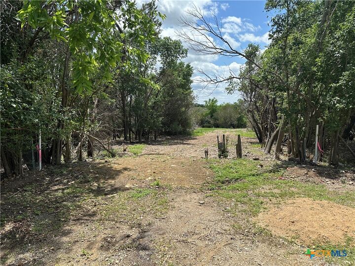 Property Photo:  126 Cottonwood Drive  TX 76528 