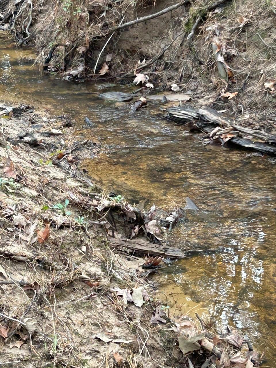 Property Photo:  Tbd Martin Cochran Rd  TX 75949 