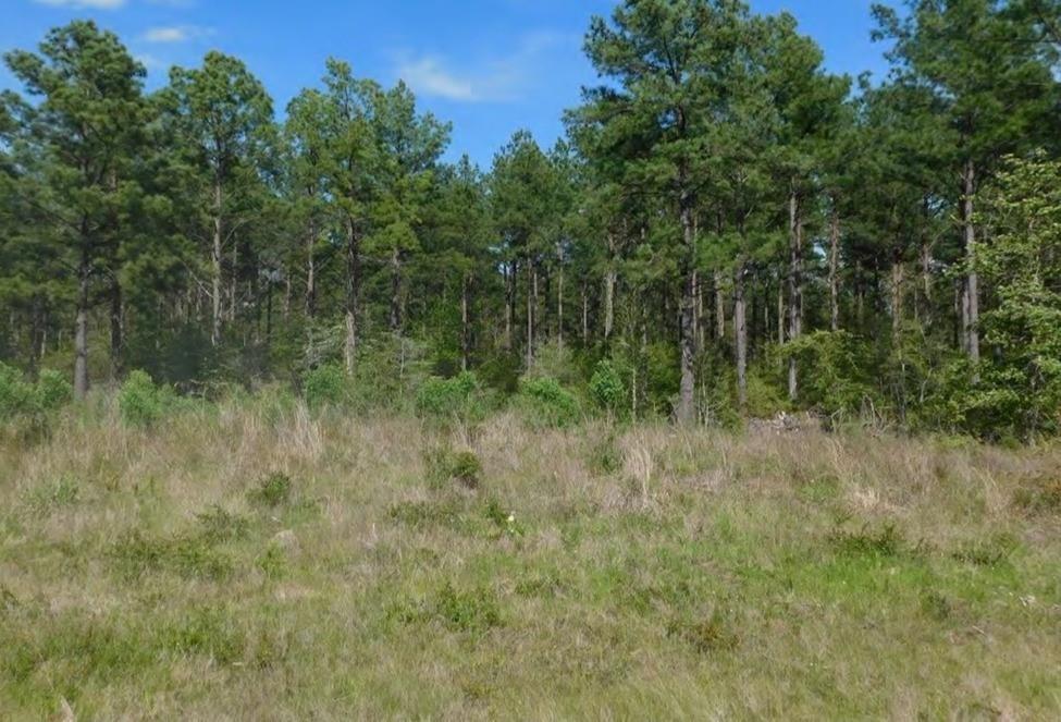Property Photo: Tbd Lloyd Walker Rd TX 75949