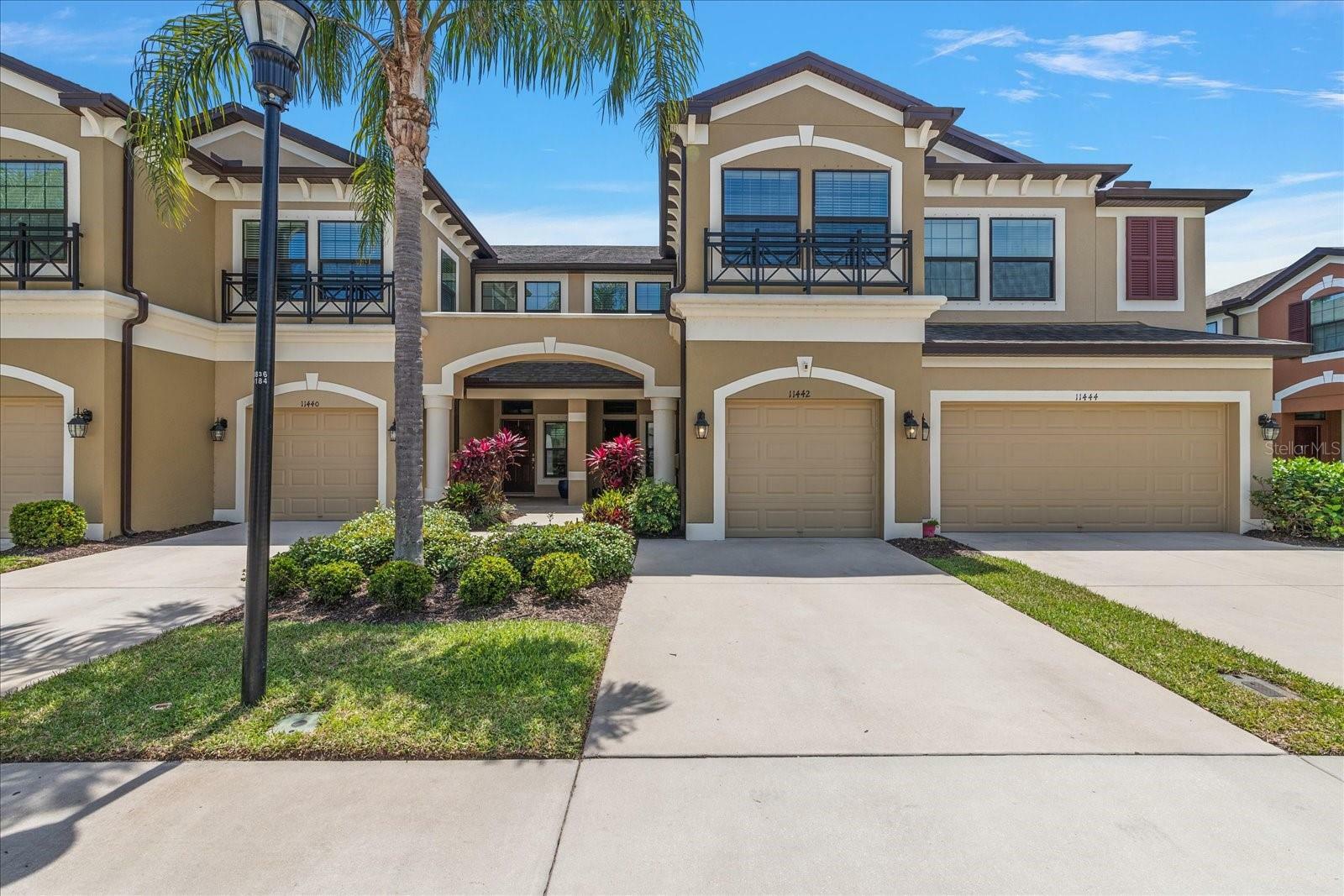 11442 Crowned Sparrow Lane  Tampa FL 33626 photo