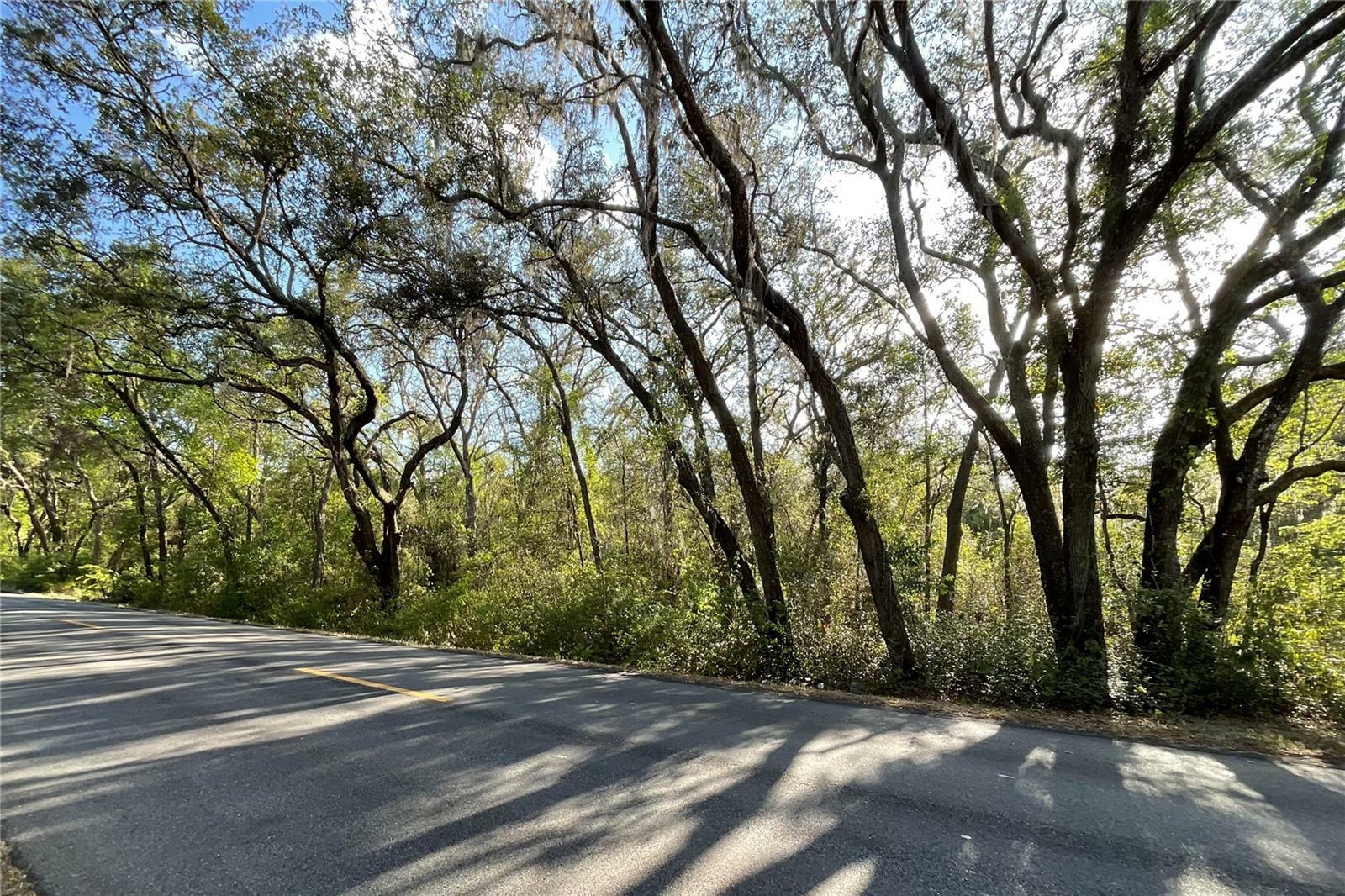 Property Photo: 37215 Rolling Acres Road FL 32159