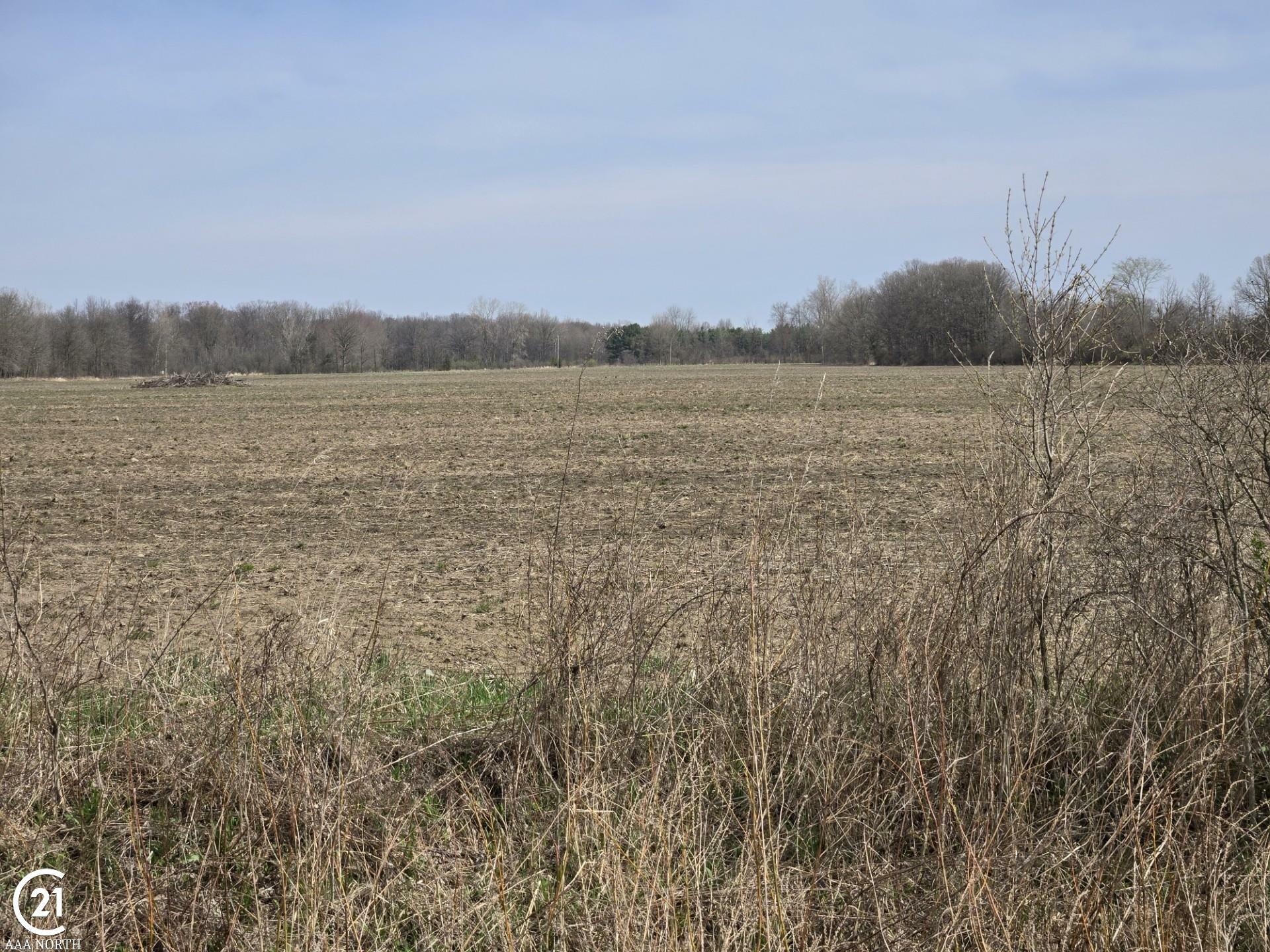Property Photo: 0 Weber (Lot A) Road MI 48063