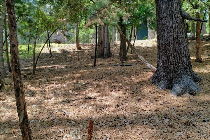 0 Terrace  Lake Arrowhead CA 92352 photo